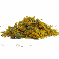 	カレンデュラ画像