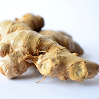 ジンジャー画像